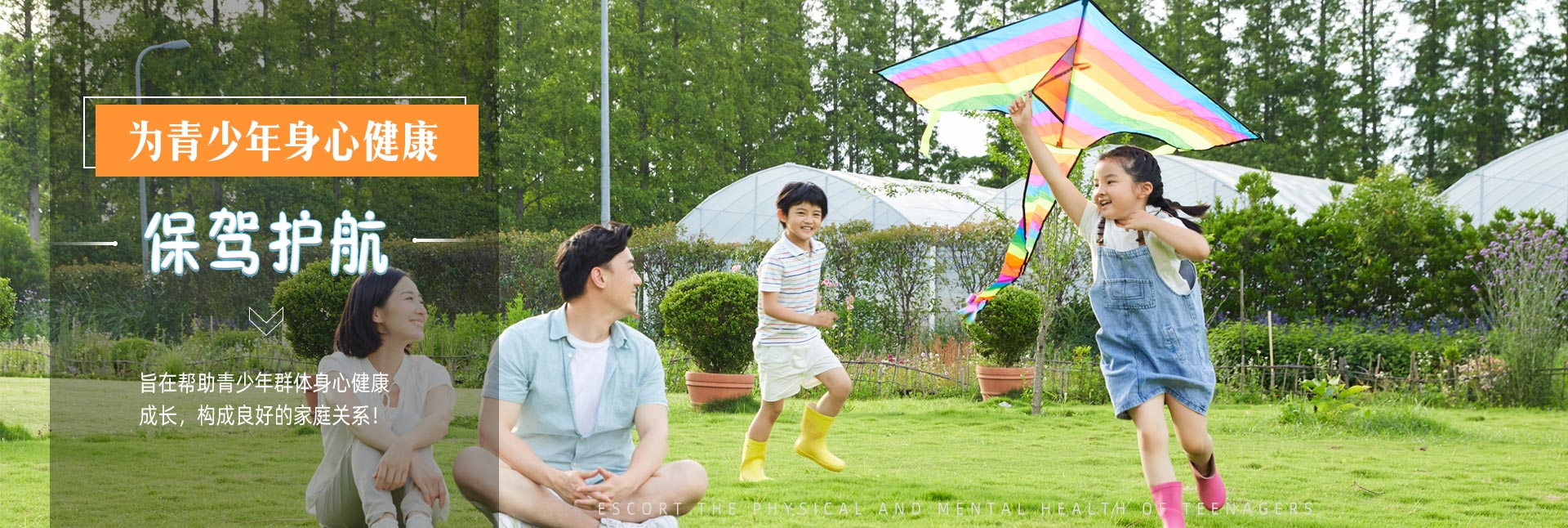 成功案例